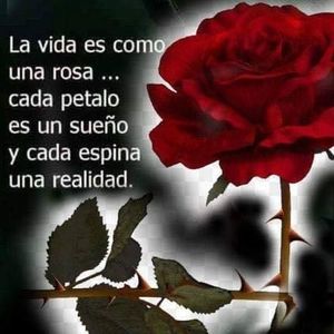 Meet your Posher, Francy